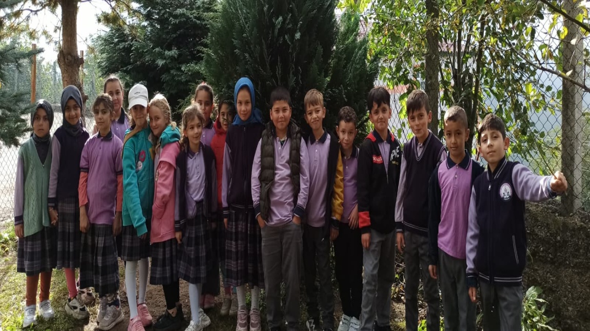 YEŞİL VATANIMI KORUYORUM